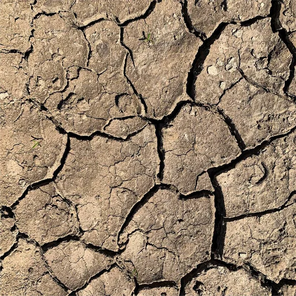 破壊された地球の背景 亀裂と乾燥した地面の表面 泥割れ — ストック写真