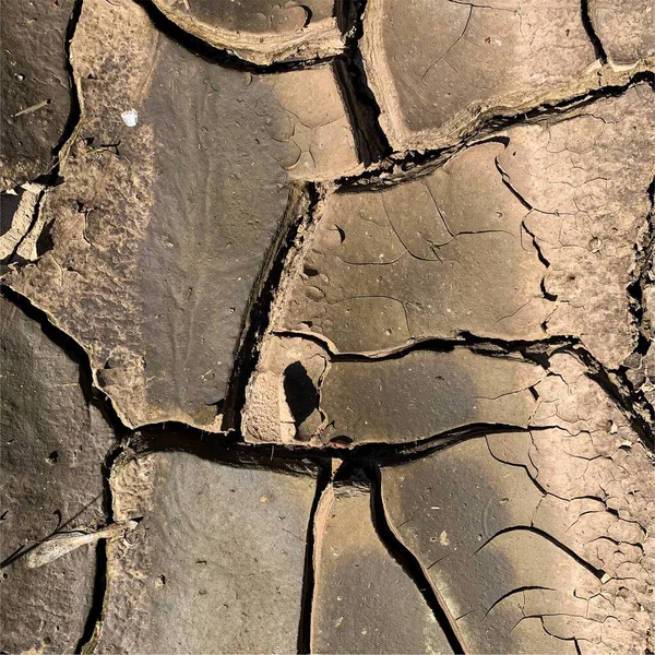 Fond Terre Fissuré Surface Sol Sèche Avec Fissures Fissures Boue — Photo