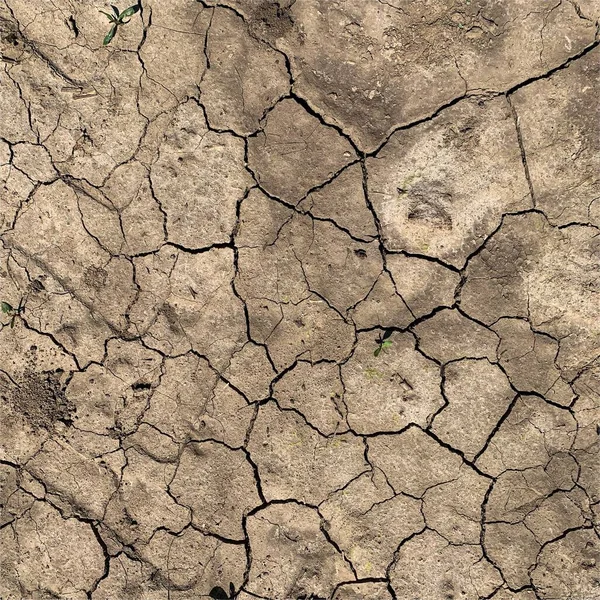 Çatlak yeryüzü arka planı. Toprak yüzeyinde çatlaklar var. Çamur çatlakları.