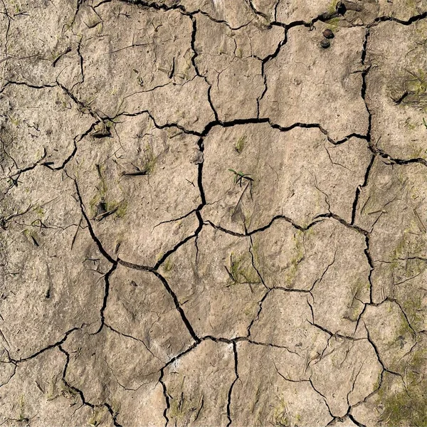 Çatlak yeryüzü arka planı. Toprak yüzeyinde çatlaklar var. Çamur çatlakları.
