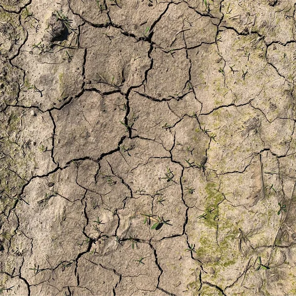 Fundo Terra Rachado Superfície Seca Solo Com Rachaduras Rachaduras Lama — Fotografia de Stock