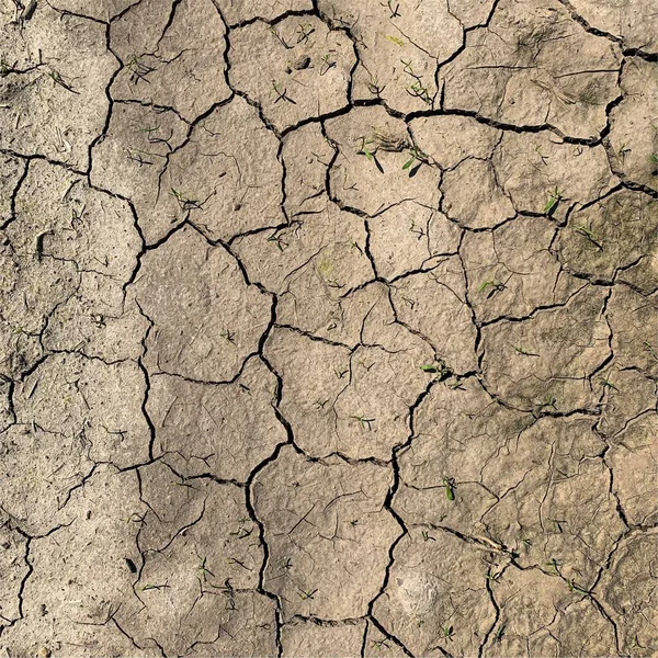 Cracked Earth Background Dry Ground Surface Cracks Mud Cracks — ストック写真