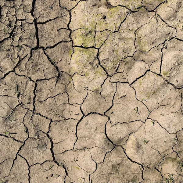 Çatlak yeryüzü arka planı. Toprak yüzeyinde çatlaklar var. Çamur çatlakları.