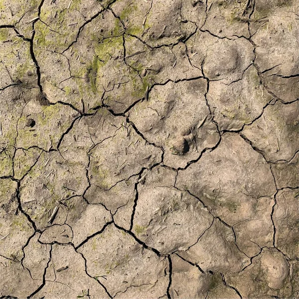 Cracked Earth Background Dry Ground Surface Cracks Mud Cracks — Stock Photo, Image