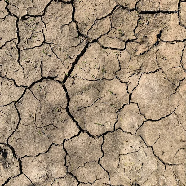 Çatlak yeryüzü arka planı. Toprak yüzeyinde çatlaklar var. Çamur çatlakları.