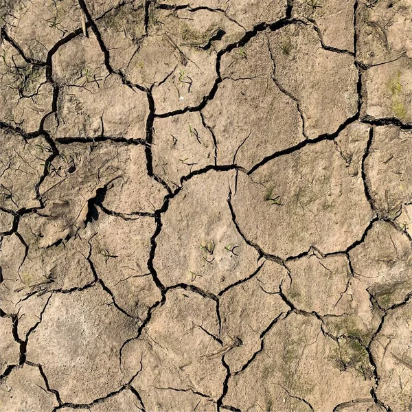 Çatlak yeryüzü arka planı. Toprak yüzeyinde çatlaklar var. Çamur çatlakları.