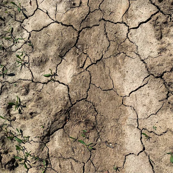 Fond Terre Fissuré Surface Sol Sèche Avec Fissures Fissures Boue — Photo