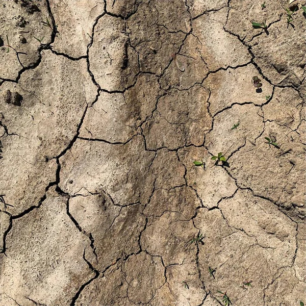 Cracked Earth Background Dry Ground Surface Cracks Mud Cracks — ストック写真