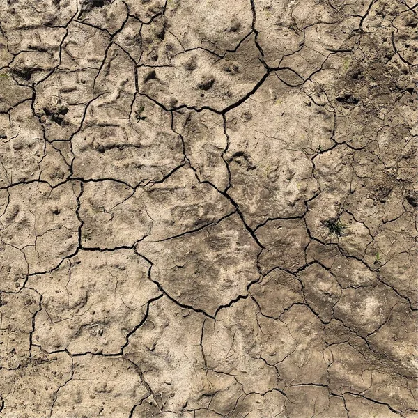 Gebarsten Aarde Achtergrond Droge Ondergrond Met Scheuren Spatscheuren — Stockfoto