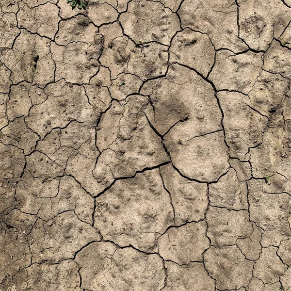 Cracked Earth Background Dry Ground Surface Cracks Mud Cracks — ストック写真