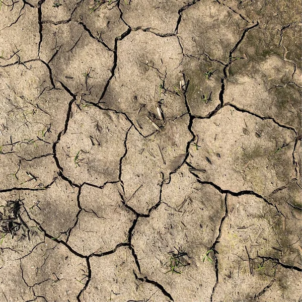 Cracked Earth Background Dry Ground Surface Cracks Mud Cracks — 스톡 사진