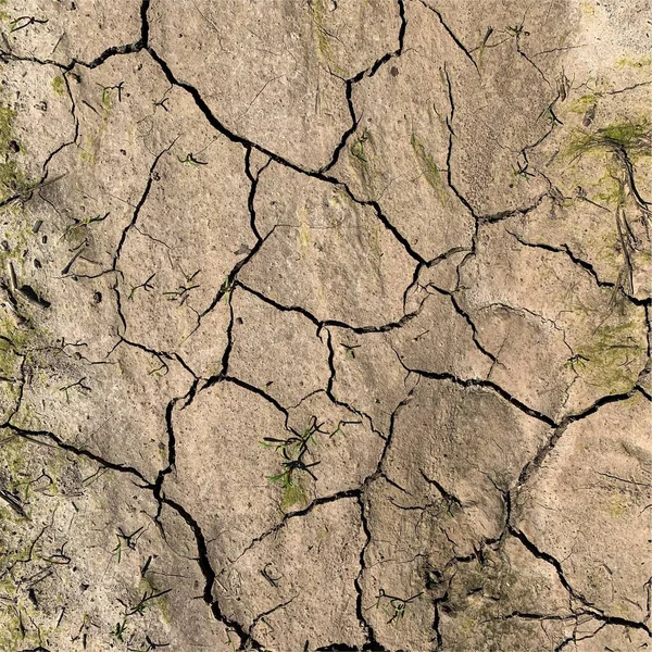 Cracked Earth Background Dry Ground Surface Cracks Mud Cracks — ストック写真