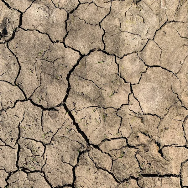 Fondo Tierra Agrietado Superficie Seca Con Grietas Grietas Barro — Foto de Stock