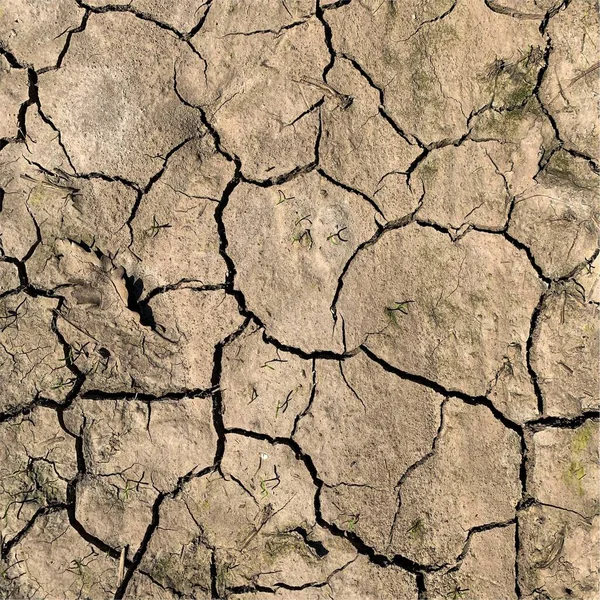 Çatlak yeryüzü arka planı. Toprak yüzeyinde çatlaklar var. Çamur çatlakları.