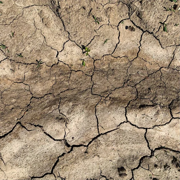 Fond Terre Fissuré Surface Sol Sèche Avec Fissures Fissures Boue — Photo