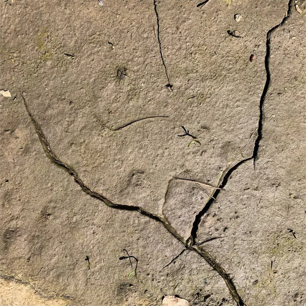 Cracked Earth Background Dry Ground Surface Cracks Mud Cracks — Stock Photo, Image