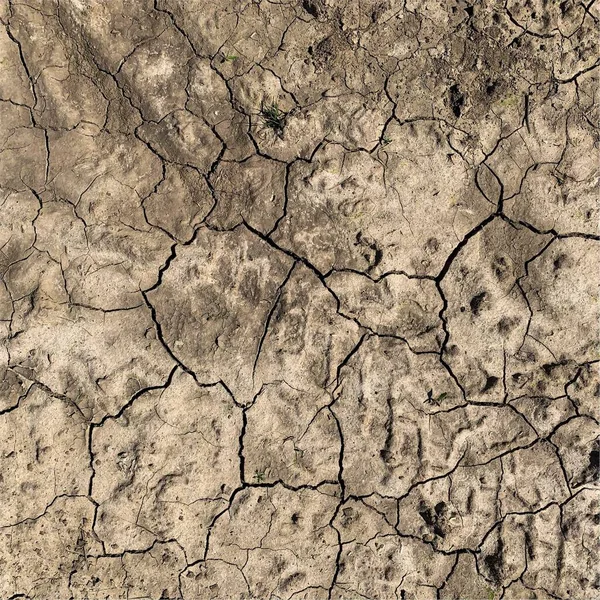 Cracked Earth Background Dry Ground Surface Cracks Mud Cracks — 스톡 사진