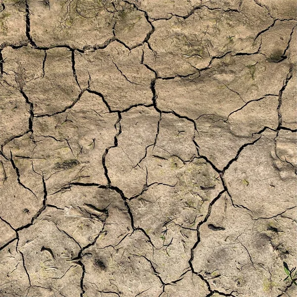 Fundo Terra Rachado Superfície Seca Solo Com Rachaduras Rachaduras Lama — Fotografia de Stock