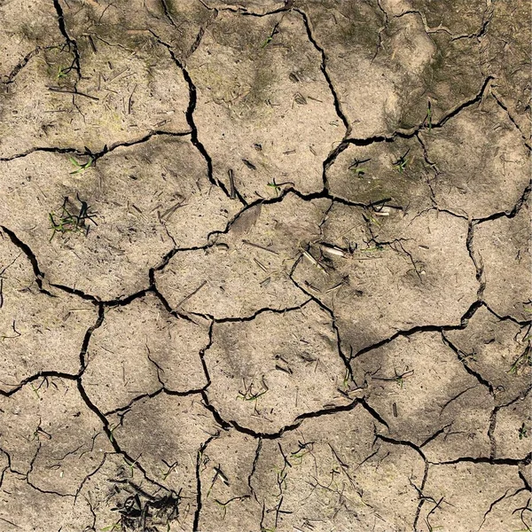 Fond Terre Fissuré Surface Sol Sèche Avec Fissures Fissures Boue — Photo