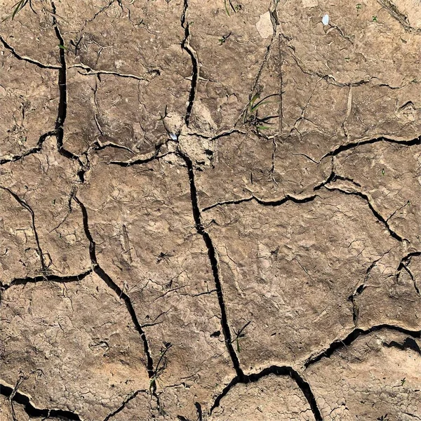 Risse Erdreich Trockene Oberfläche Mit Rissen Schlammrisse — Stockfoto