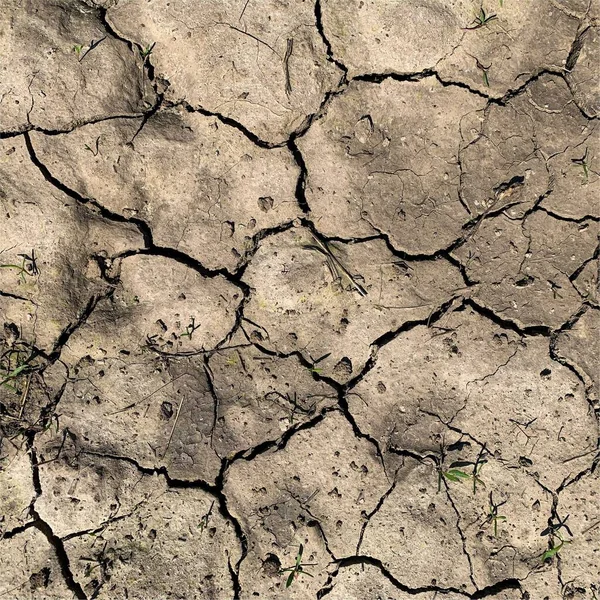 Çatlak yeryüzü arka planı. Toprak yüzeyinde çatlaklar var. Çamur çatlakları.