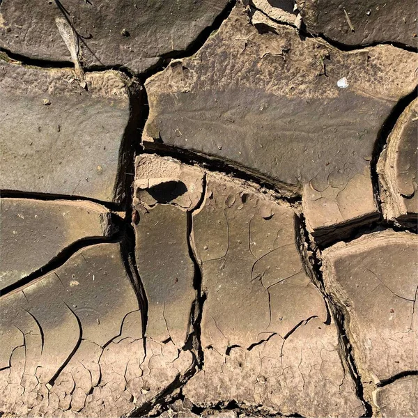 Çatlak yeryüzü arka planı. Toprak yüzeyinde çatlaklar var. Çamur çatlakları.