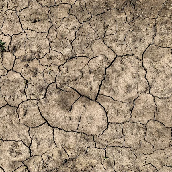 Çatlak yeryüzü arka planı. Toprak yüzeyinde çatlaklar var. Çamur çatlakları.