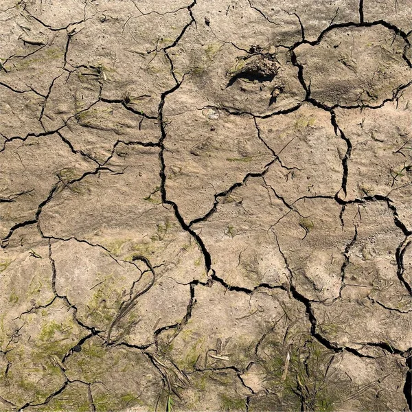 Çatlak yeryüzü arka planı. Toprak yüzeyinde çatlaklar var. Çamur çatlakları.