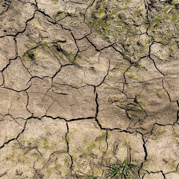 Çatlak yeryüzü arka planı. Toprak yüzeyinde çatlaklar var. Çamur çatlakları.