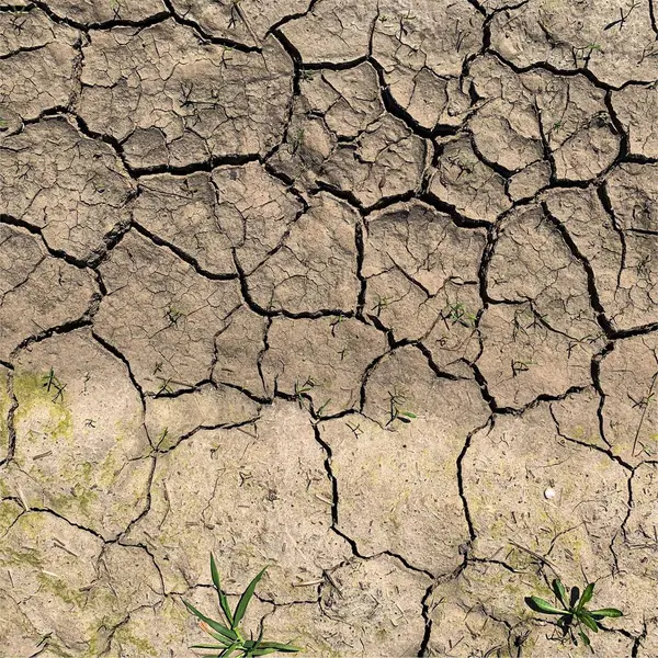 Çatlak yeryüzü arka planı. Toprak yüzeyinde çatlaklar var. Çamur çatlakları.