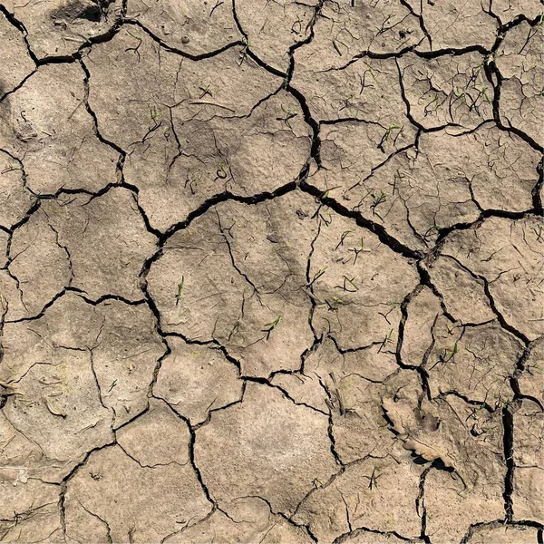 Çatlak yeryüzü arka planı. Toprak yüzeyinde çatlaklar var. Çamur çatlakları.