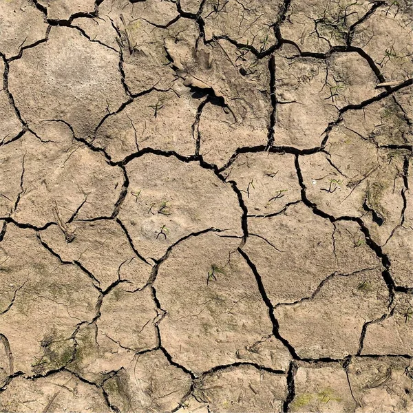 Cracked Earth Background Dry Ground Surface Cracks Mud Cracks — ストック写真