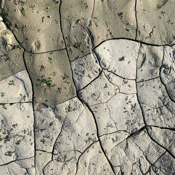 Fond Terre Fissuré Surface Sol Sèche Avec Fissures Fissures Boue — Photo