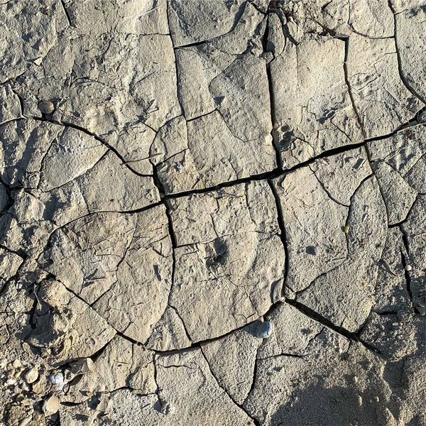Fond Terre Fissuré Surface Sol Sèche Avec Fissures Fissures Boue — Photo