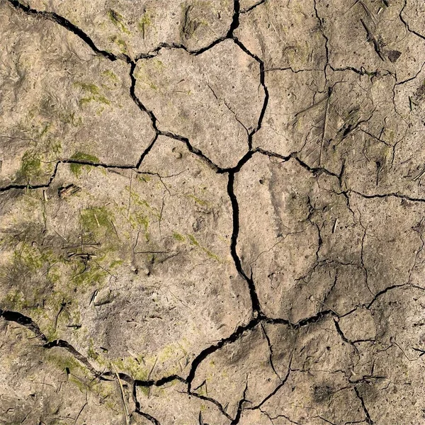 Çatlak yeryüzü arka planı. Toprak yüzeyinde çatlaklar var. Çamur çatlakları.