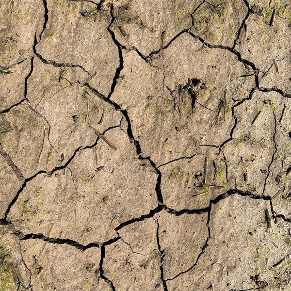 Çatlak yeryüzü arka planı. Toprak yüzeyinde çatlaklar var. Çamur çatlakları.