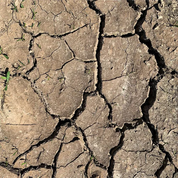 Çatlak yeryüzü arka planı. Toprak yüzeyinde çatlaklar var. Çamur çatlakları.