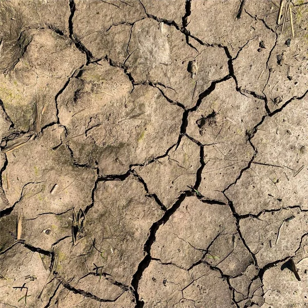 Cracked Earth Background Dry Ground Surface Cracks Mud Cracks — ストック写真