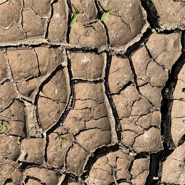 Çatlak yeryüzü arka planı. Toprak yüzeyinde çatlaklar var. Çamur çatlakları.