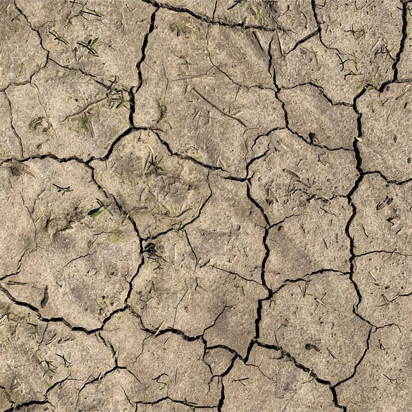 Çatlak yeryüzü arka planı. Toprak yüzeyinde çatlaklar var. Çamur çatlakları.