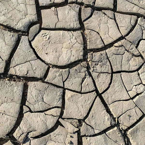 Çatlak yeryüzü arka planı. Toprak yüzeyinde çatlaklar var. Çamur çatlakları.