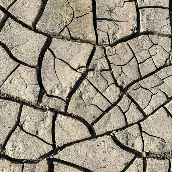 Çatlak yeryüzü arka planı. Toprak yüzeyinde çatlaklar var. Çamur çatlakları.