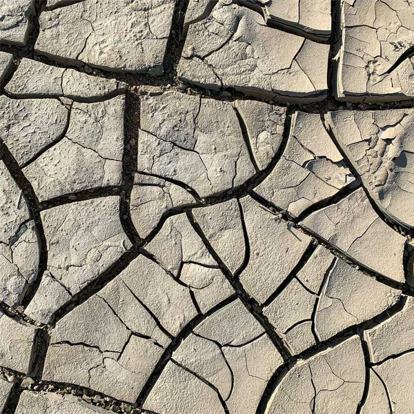 Çatlak yeryüzü arka planı. Toprak yüzeyinde çatlaklar var. Çamur çatlakları.