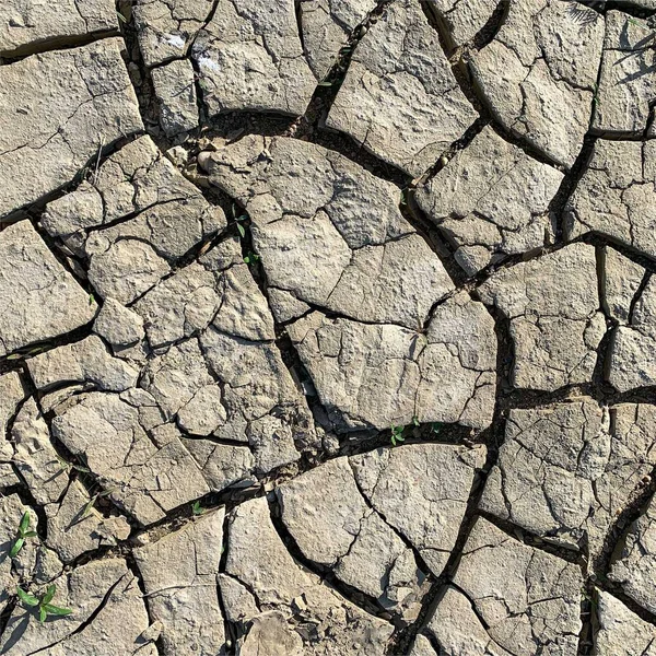 Çatlak yeryüzü arka planı. Toprak yüzeyinde çatlaklar var. Çamur çatlakları.