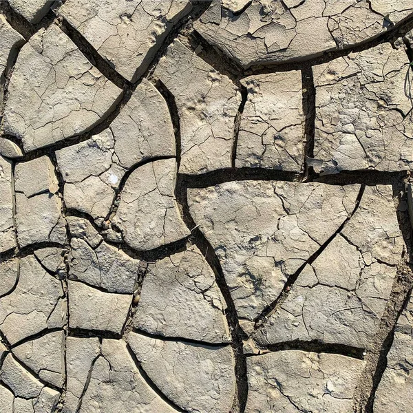 Çatlak yeryüzü arka planı. Toprak yüzeyinde çatlaklar var. Çamur çatlakları.