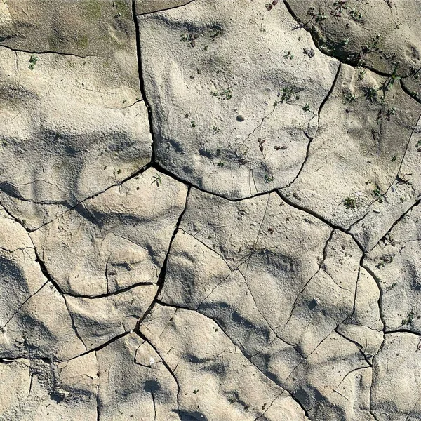 Çatlak yeryüzü arka planı. Toprak yüzeyinde çatlaklar var. Çamur çatlakları.