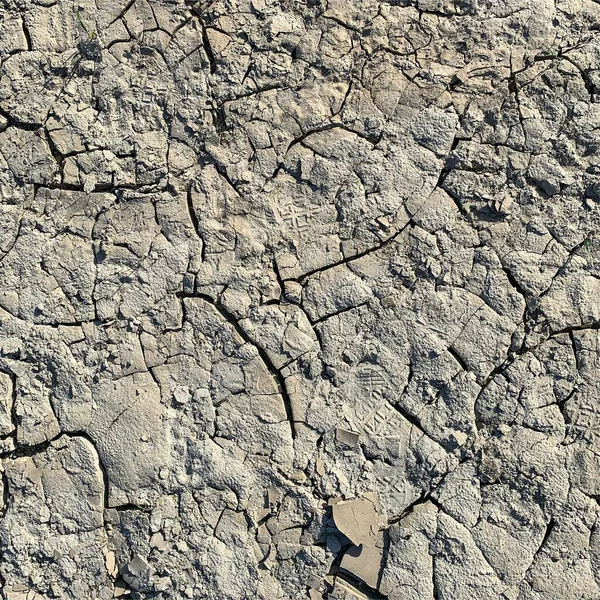 Çatlak yeryüzü arka planı. Toprak yüzeyinde çatlaklar var. Çamur çatlakları.