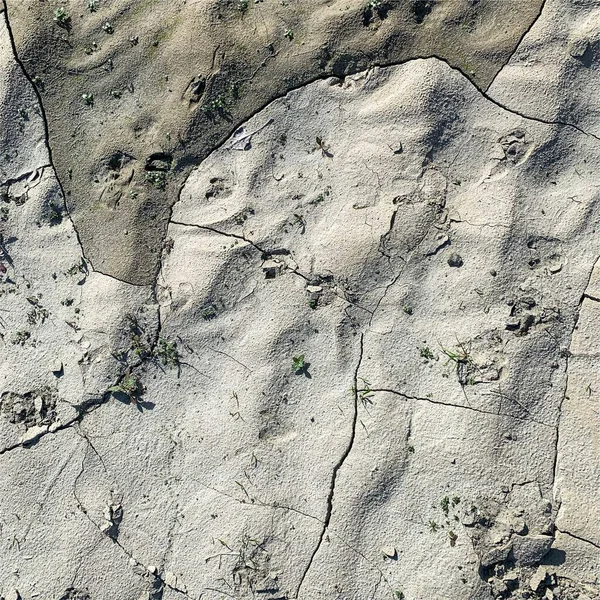 Çatlak yeryüzü arka planı. Toprak yüzeyinde çatlaklar var. Çamur çatlakları.