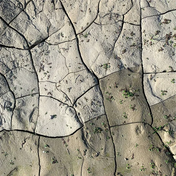 Çatlak yeryüzü arka planı. Toprak yüzeyinde çatlaklar var. Çamur çatlakları.