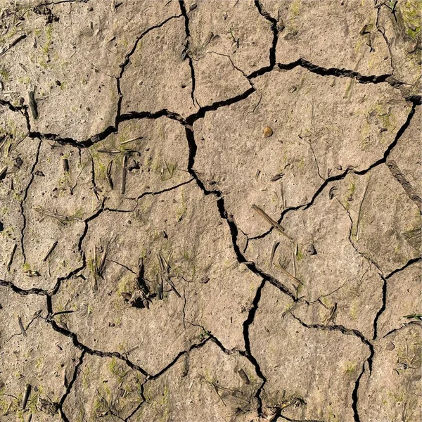 Fond Terre Fissuré Surface Sol Sèche Avec Fissures Fissures Boue — Photo